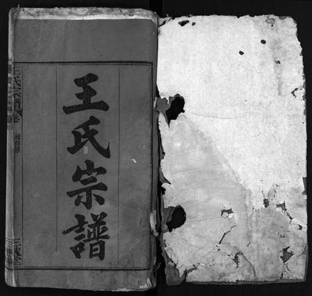 湖北王氏族谱-王氏宗谱 [8卷,首1卷](别名：Wang Shi Zong Pu).pdf电子版插图2