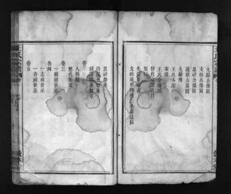 湖北王氏族谱-王氏宗谱 [8卷](别名：Wang Shi Zong Pu).pdf电子版插图3