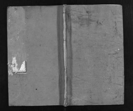 湖北王氏族谱-王氏宗谱 [9卷](别名：Wang Shi Zong Pu).pdf电子版插图1