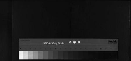 湖北王氏族谱-王氏宗谱[12卷](别名：Wong Shi Zong Pu).pdf电子版