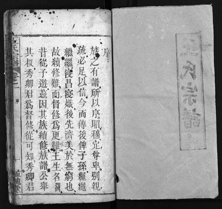 湖北王氏族谱-王氏宗谱[12卷](别名：Wong Shi Zong Pu).pdf电子版插图2