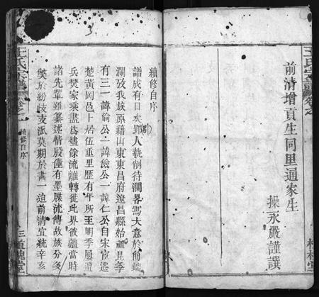 湖北王氏族谱-王氏宗谱[12卷](别名：Wong Shi Zong Pu).pdf电子版插图4