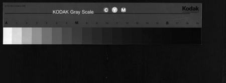 湖北王氏族谱-王氏宗谱[13卷,首3卷](别名：Wong Shi Zu Pu).pdf电子版