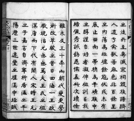 湖北王氏族谱-王氏宗谱[13卷,首3卷](别名：Wong Shi Zu Pu).pdf电子版插图5