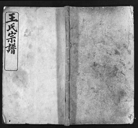 湖北王氏族谱-王氏宗谱[7卷,首1卷](别名：Wang Shi Zong Pu).pdf电子版插图1