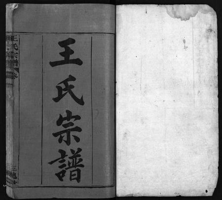 湖北王氏族谱-王氏宗谱[7卷,首1卷](别名：Wang Shi Zong Pu).pdf电子版插图2