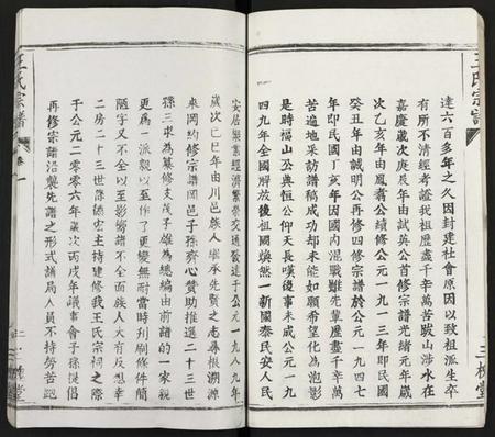 湖北王氏族谱-王氏支谱 [16卷](别名：王氏宗谱、王氏宗谱).pdf电子版插图5