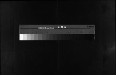 湖北王氏族谱-王氏宗谱 [12卷,首3卷](别名：Wang Shi Zong Pu).pdf电子版