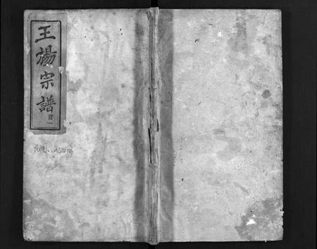 湖北王氏杨氏族谱-王杨宗谱 [8卷,首2卷](别名：王杨氏二次续修宗谱、Wang Yang Zong Pu、王杨宗谱).pdf电子版插图1