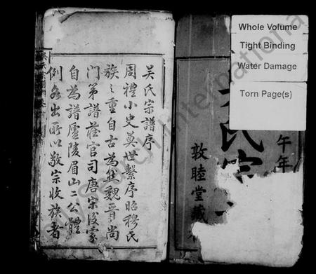 湖北吴氏族谱-吴氏宗谱 [10卷](别名：吴氏重修宗传).pdf电子版插图2