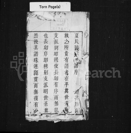 江苏夏氏族谱-八潭夏氏续修宗谱 [8卷](别名：夏氏宗谱).pdf电子版插图1