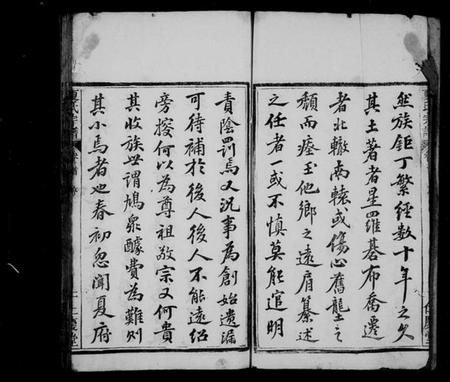 湖北夏氏族谱-夏氏宗谱 [13卷,首1卷](别名：夏氏族谱).pdf电子版插图3