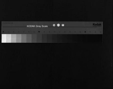 湖北夏氏族谱-夏氏宗谱 [15卷,首2卷](别名：Xia Shi Zong Pu).pdf电子版