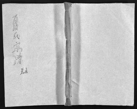 湖北夏氏族谱-夏氏宗谱 [15卷,首2卷](别名：Xia Shi Zong Pu).pdf电子版插图1