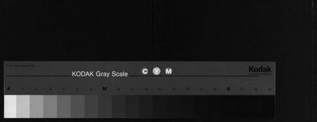 湖北夏氏族谱-夏氏宗谱 [29卷,首2卷](别名：麻邑牌楼河夏氏宗谱、Xia Shi Zong Pu).pdf电子版