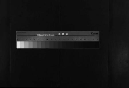 湖北夏氏族谱-鹤山夏氏宗谱 [60卷,卷首按支分卷](别名：He Shan Xia Shi Zong Pu、鹤山夏氏四修宗谱、鹤山夏氏宗谱).pdf电子版