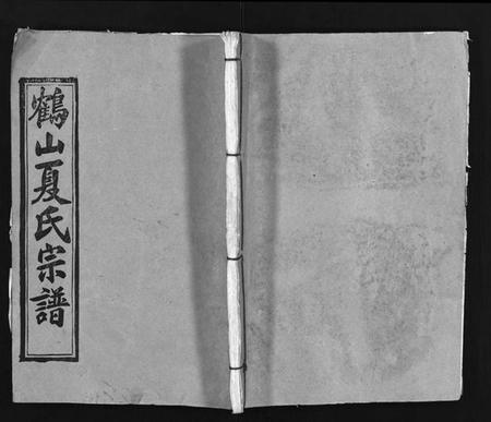 湖北夏氏族谱-鹤山夏氏宗谱 [60卷,卷首按支分卷](别名：He Shan Xia Shi Zong Pu、鹤山夏氏四修宗谱、鹤山夏氏宗谱).pdf电子版插图1