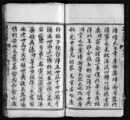 湖北夏氏族谱-夏氏宗谱 [11卷,首2卷](别名：濂初公三祭合修宗谱、Xia Shi Zong Pu).pdf电子版插图3