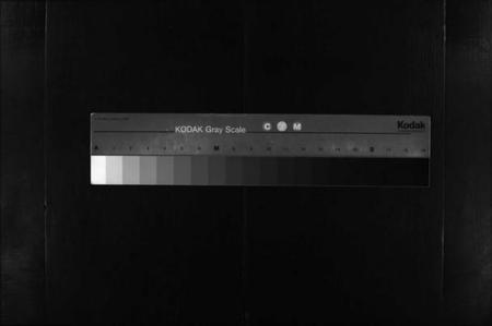 湖北向氏族谱-向氏三修宗谱 [10卷,首8卷](别名：Xiang Shi San Xiu Zong Pu).pdf电子版