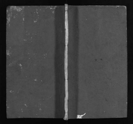 湖北项氏族谱-项氏族谱 [10卷,含首1卷](别名：Xiang Shi Zu Pu、项氏族谱).pdf电子版插图1