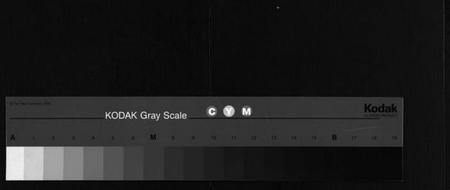 湖北萧氏族谱-萧氏宗谱[17卷](别名：Xiao Shi Zong Pu).pdf电子版