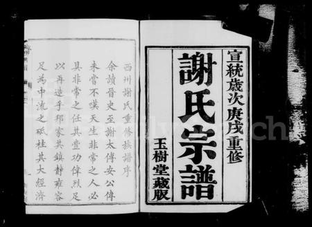 江苏谢氏族谱-西州谢氏宗谱 [10卷](别名：谢氏宗谱).pdf电子版插图4