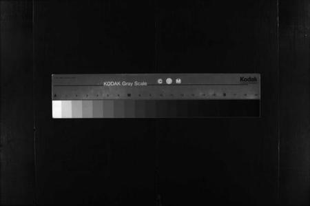 湖北谢氏族谱-杨氏宗谱 [10卷](别名：杨氏续修宗谱、Yang Shi Zong Pu、杨氏宗谱).pdf电子版