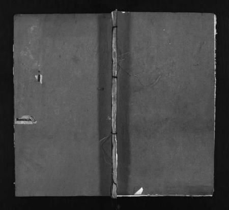 湖北谢氏族谱-杨氏宗谱 [10卷](别名：杨氏续修宗谱、Yang Shi Zong Pu、杨氏宗谱).pdf电子版插图1