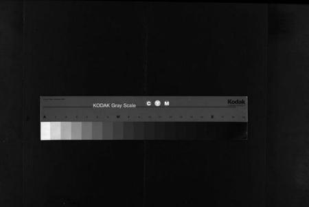 湖北徐氏族谱-徐氏重修族谱 [20卷](别名：桃林河徐氏族谱、徐氏四修族谱、Xu Shi Chong Xiu Zu Pu).pdf电子版