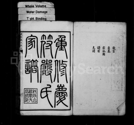 四川严氏族谱-重修庆符严氏家谱(别名：庆符严氏家谱).pdf电子版插图1