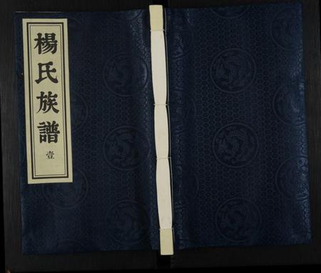 江苏杨氏族谱-杨氏族谱 [8卷](别名：维扬江都杨氏重修族谱).pdf电子版