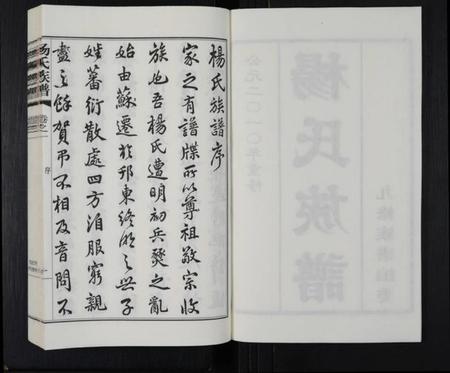 江苏杨氏族谱-杨氏族谱 [8卷](别名：维扬江都杨氏重修族谱).pdf电子版插图2