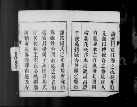 江苏杨氏族谱-润州杨氏族谱 [4卷](别名：杨氏族谱).pdf电子版插图5