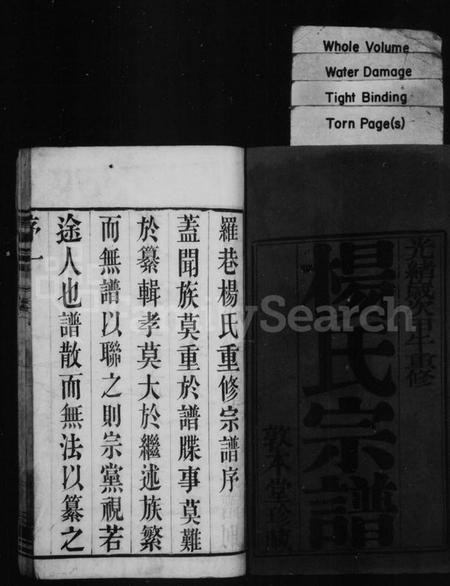 江苏杨氏族谱-杨氏宗谱 [16卷](别名：罗巷杨氏宗谱).pdf电子版插图2