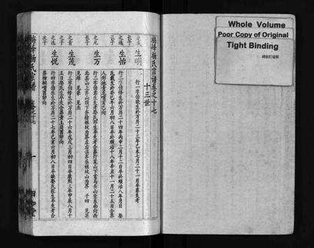 湖北杨氏族谱-梅峰杨氏宗谱(别名：Mei Feng Yang Shi Zong Pu、杨氏宗谱、杨氏八修宗谱).pdf电子版插图2