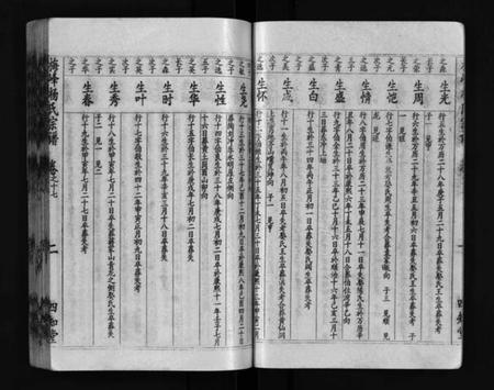 湖北杨氏族谱-梅峰杨氏宗谱(别名：Mei Feng Yang Shi Zong Pu、杨氏宗谱、杨氏八修宗谱).pdf电子版插图3