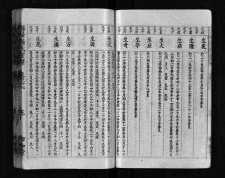 湖北杨氏族谱-梅峰杨氏宗谱(别名：Mei Feng Yang Shi Zong Pu、杨氏宗谱、杨氏八修宗谱).pdf电子版插图4