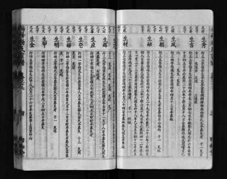 湖北杨氏族谱-梅峰杨氏宗谱(别名：Mei Feng Yang Shi Zong Pu、杨氏宗谱、杨氏八修宗谱).pdf电子版插图5