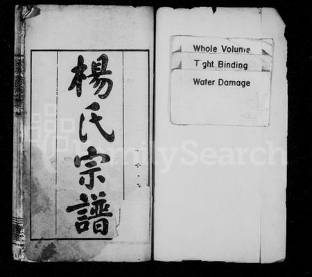 湖北杨氏族谱-杨氏宗谱 [5卷,首3卷](别名：杨氏续修宗谱).pdf电子版插图1