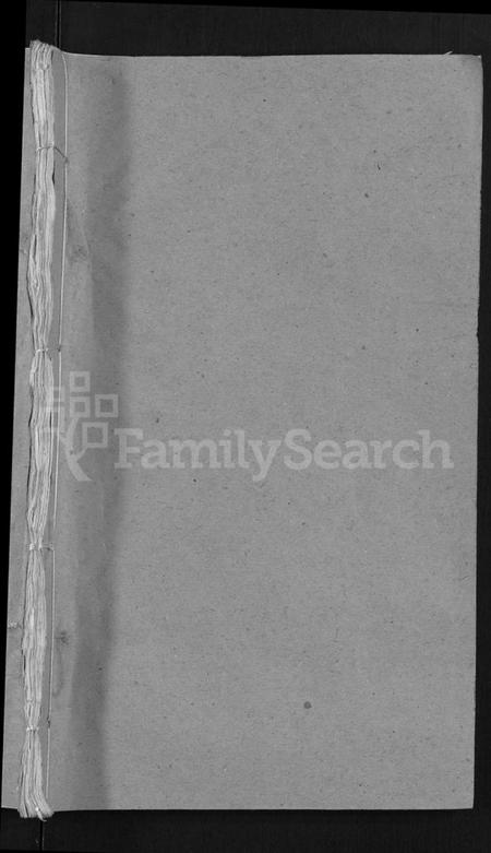 湖北杨氏族谱-杨氏宗谱 [6卷,首3卷](别名：Yang Shi Zong Pu).pdf电子版插图1