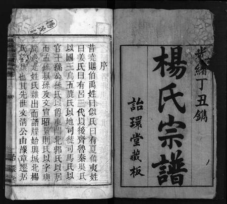 湖北杨氏族谱-杨氏宗谱[18卷](别名：Yang Shi Zong Pu、大栗杨氏宗谱、杨氏宗谱).pdf电子版插图2