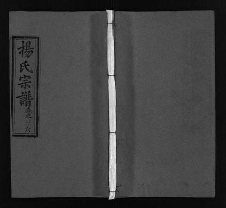 湖北杨氏族谱-杨氏宗谱[52卷,首6卷](别名：Yang Shi Zong Pu、杨氏宗谱).pdf电子版插图1