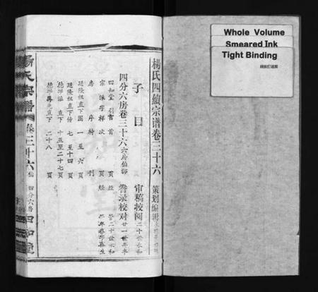 湖北杨氏族谱-杨氏宗谱[52卷,首6卷](别名：Yang Shi Zong Pu、杨氏宗谱).pdf电子版插图2