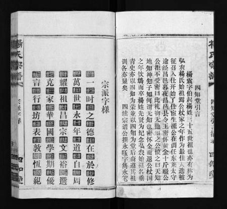 湖北杨氏族谱-杨氏宗谱[52卷,首6卷](别名：Yang Shi Zong Pu、杨氏宗谱).pdf电子版插图4