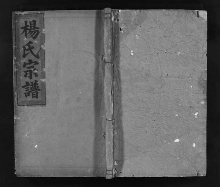 湖北杨氏族谱-杨氏宗谱[7卷,含首2卷](别名：Yang Shi Zong Pu、杨氏宗谱).pdf电子版插图1