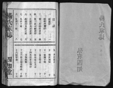 湖北杨氏族谱-杨氏家志 [按房分卷,首1卷](别名：Yang Shi Jia Zhi、杨氏家志).pdf电子版插图2