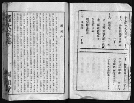 湖北杨氏族谱-杨氏家志 [按房分卷,首1卷](别名：Yang Shi Jia Zhi、杨氏家志).pdf电子版插图3