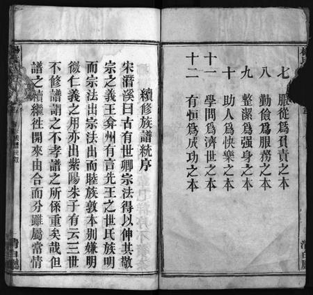 湖北杨氏族谱-杨氏族谱[24卷,首4卷,末1卷](别名：Yang Shi Zu Pu、杨氏宗谱).pdf电子版插图3