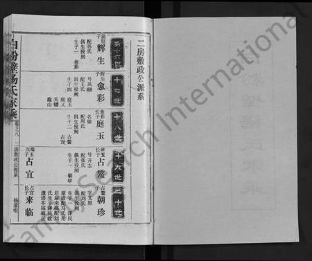 湖北杨氏族谱-白粉壁杨氏家乘 [38卷,首末各1卷](别名：Bai Fen Bi Yang Shi Jia Cheng).pdf电子版插图1