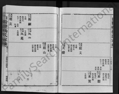 湖北杨氏族谱-白粉壁杨氏家乘 [38卷,首末各1卷](别名：Bai Fen Bi Yang Shi Jia Cheng).pdf电子版插图2